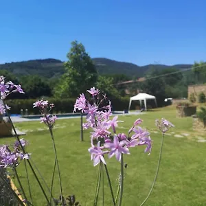  Bed & Breakfast Alba Morus Sentiti A Casa Nel Cuo Italy
